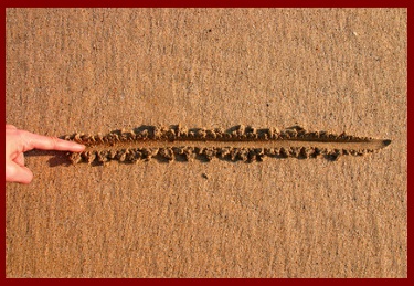 line in sand