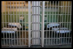 Behind Bars jail cells