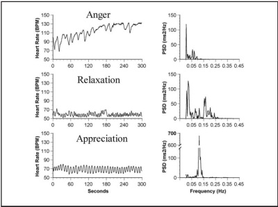 Anger And Your Heart anger and health