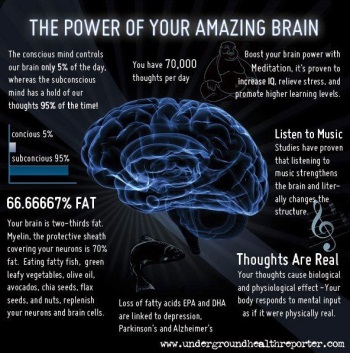 The Power Of Your Brain power of brain