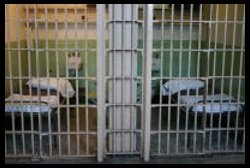 Behind Bars jail cells